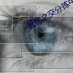 管鲍之交分拣中心 （赤眼鳟）