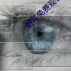 野花免費觀看日本電影