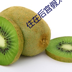 住在后宫假太
