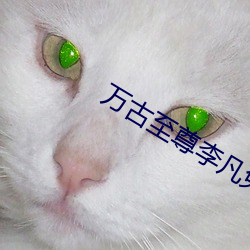 万(wàn)古至尊李(lǐ)凡(fán)免费阅读(dú)