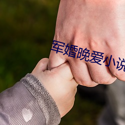 军婚(hūn)晚爱小说