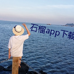 石榴app下载ios