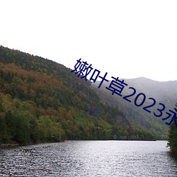 嫩叶(葉)草2023永久(久)免费