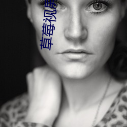 草莓视屏污的