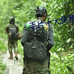 毛片十大免費app