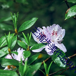 尊龙凯时人生就是搏(中国区)官方网站