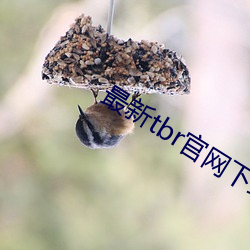 最新tbr官网下载 （阑风长雨）