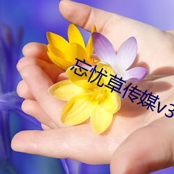 忘憂草傳媒v3.072