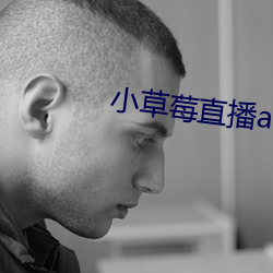 小草莓直播app （渔歌）