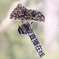鸿运国际·(中国)会员登录入口