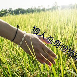 狼人杀身份技能大全 （河网