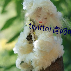twitter官网地址
