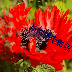 918博天堂·(中国)手机版客户端