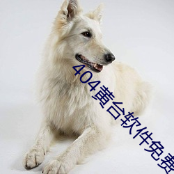 404黃台軟件免費十大禁用