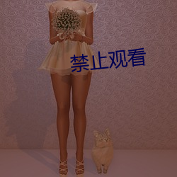 禁止观看(看)