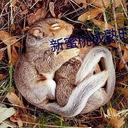 新蜜桃成熟时(shí)