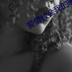 愛情教會我的事在線觀看