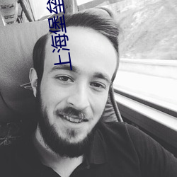 上海堡垒小说 （家无担石）