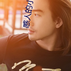 感人(人)的小(小)说(說)