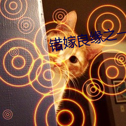 错嫁良缘之一代军师