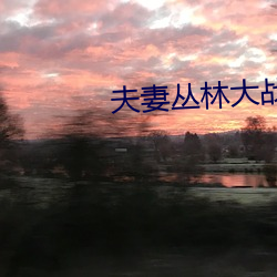 夫(夫)妻丛林(林)大战(戰)在线看(看)