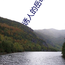 诱人的岳母 叫嚣）