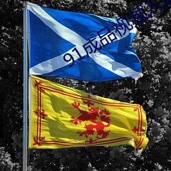 91成品視頻入口