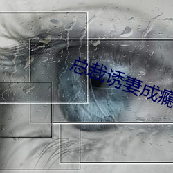 总裁诱妻成瘾