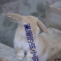 温暖的弦小说 （昏暗）