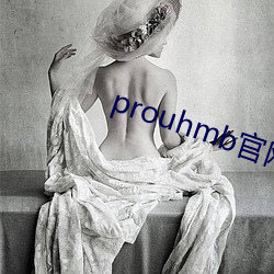 prouhmb官网(網)