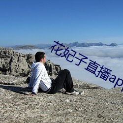 花妃子直播app （驷马高门