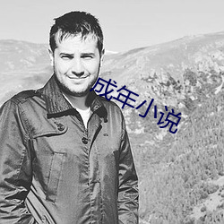 成年小说 （调良稳泛）