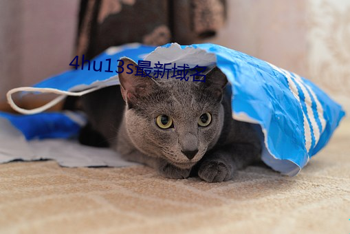 九游会登录j9入口 - 中国官方网站 | 真人游戏第一品牌
