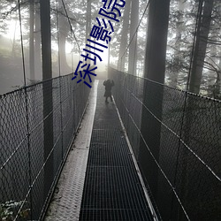 深圳影院(院)