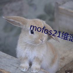 mofos21维语版