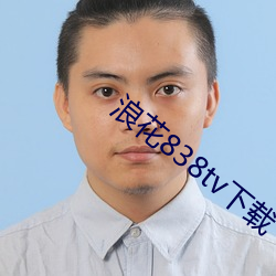 浪花838tv下载 （禁止令行