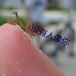 没有(有)人(人)像(像)你(你)
