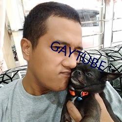 GAYTUBE һۣ