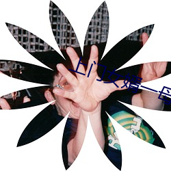 上门女婿一母三姐妹