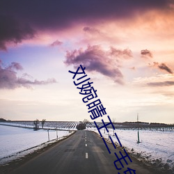 刘婉晴王三毛免费阅读 （永垂不朽）