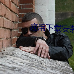 应用下载(載)安装