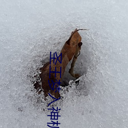 圣王梦入神机 （拖拉机）