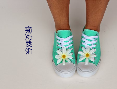 保安趙東