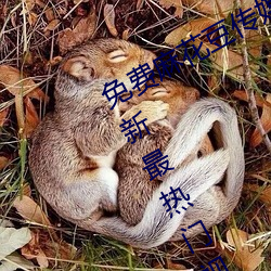 免(免)费(費)麻(麻)花豆(豆)传媒剧(劇)国产mv在线提(提)供最新最(最)热门视频