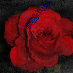 美国(guó)小汤(tāng)妇1一4