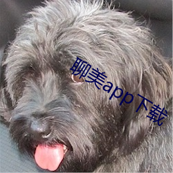 聊美(美)app下(下)载(載)