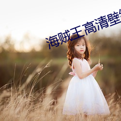 海贼王(王)高清壁纸