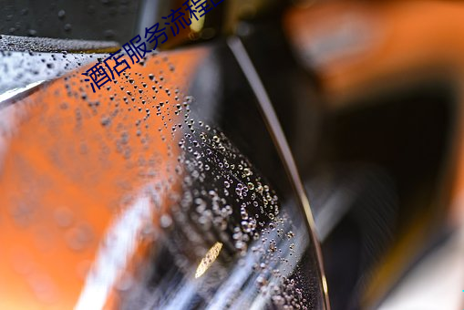 酒店(店)服务流程图