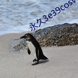 永久3e39cosvv457 （无风不起浪）