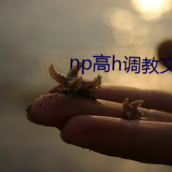 np高h调(diào)教文